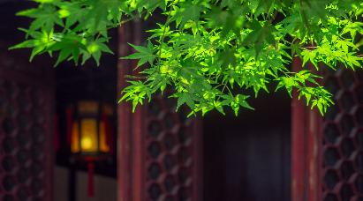 景點(diǎn)：留園