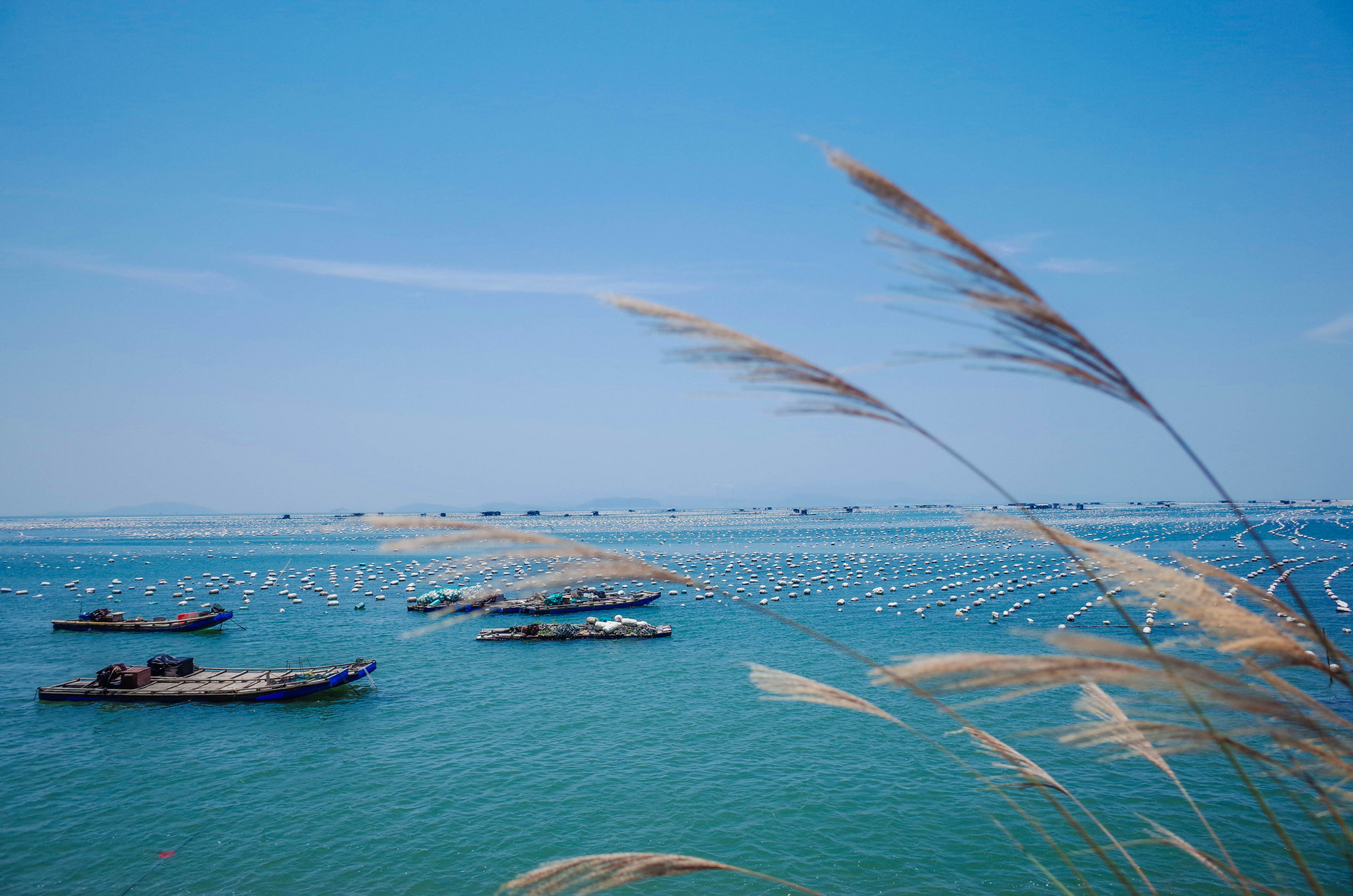 景點(diǎn)封面圖