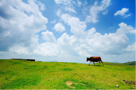 仰天湖風景區封面圖