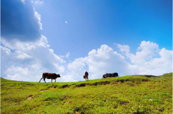 仰天湖風景區封面圖