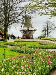 【特惠游】<環比西歐 荷法德比瑞10天一價全包>深圳直飛往返