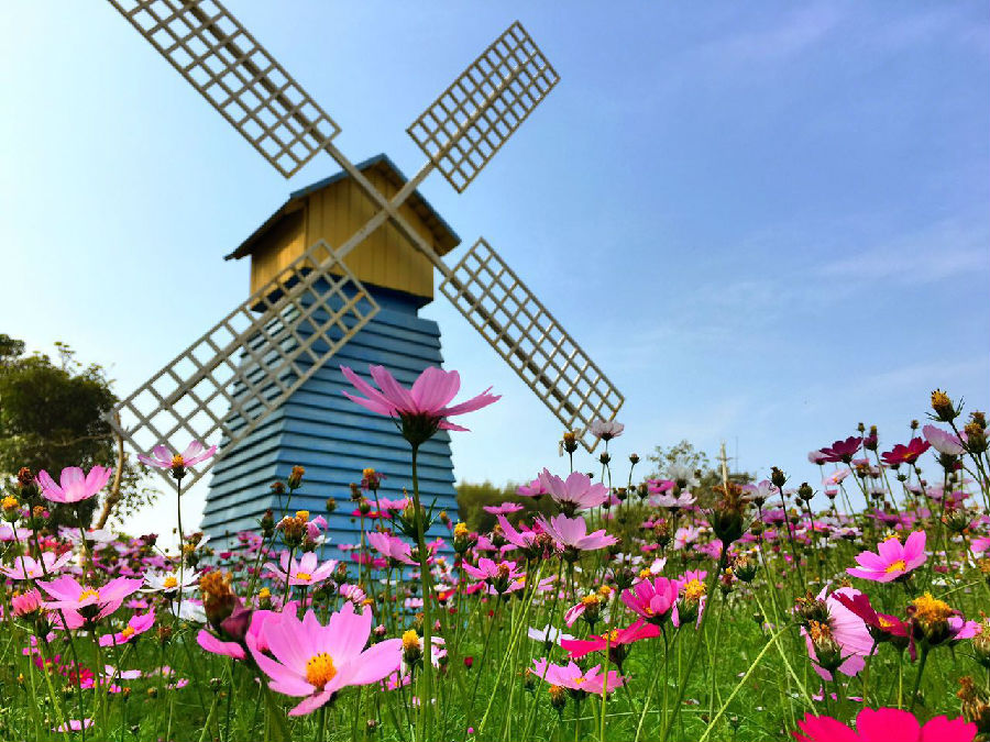 從化寶趣風(fēng)車(chē)封面圖