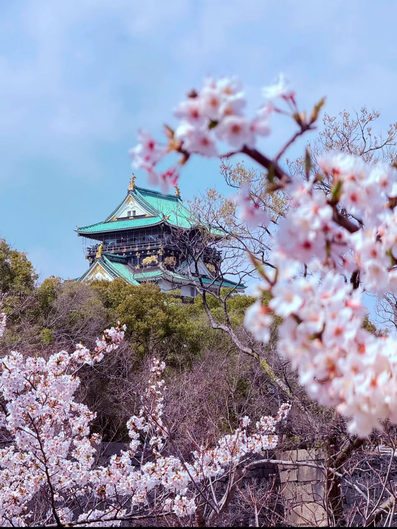 大阪城公園封面圖