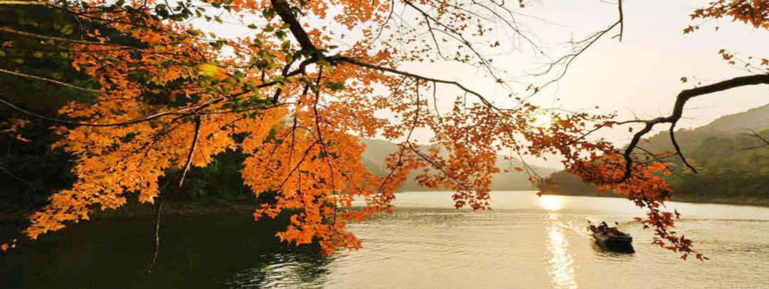 流溪河國家森林公園2封面圖