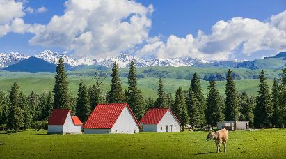 【品質游】<歐洲巔峰-純玩法瑞意+少女峰+黃金列車+雙宮殿+雙游船+美食11/12天游>深圳往返直飛