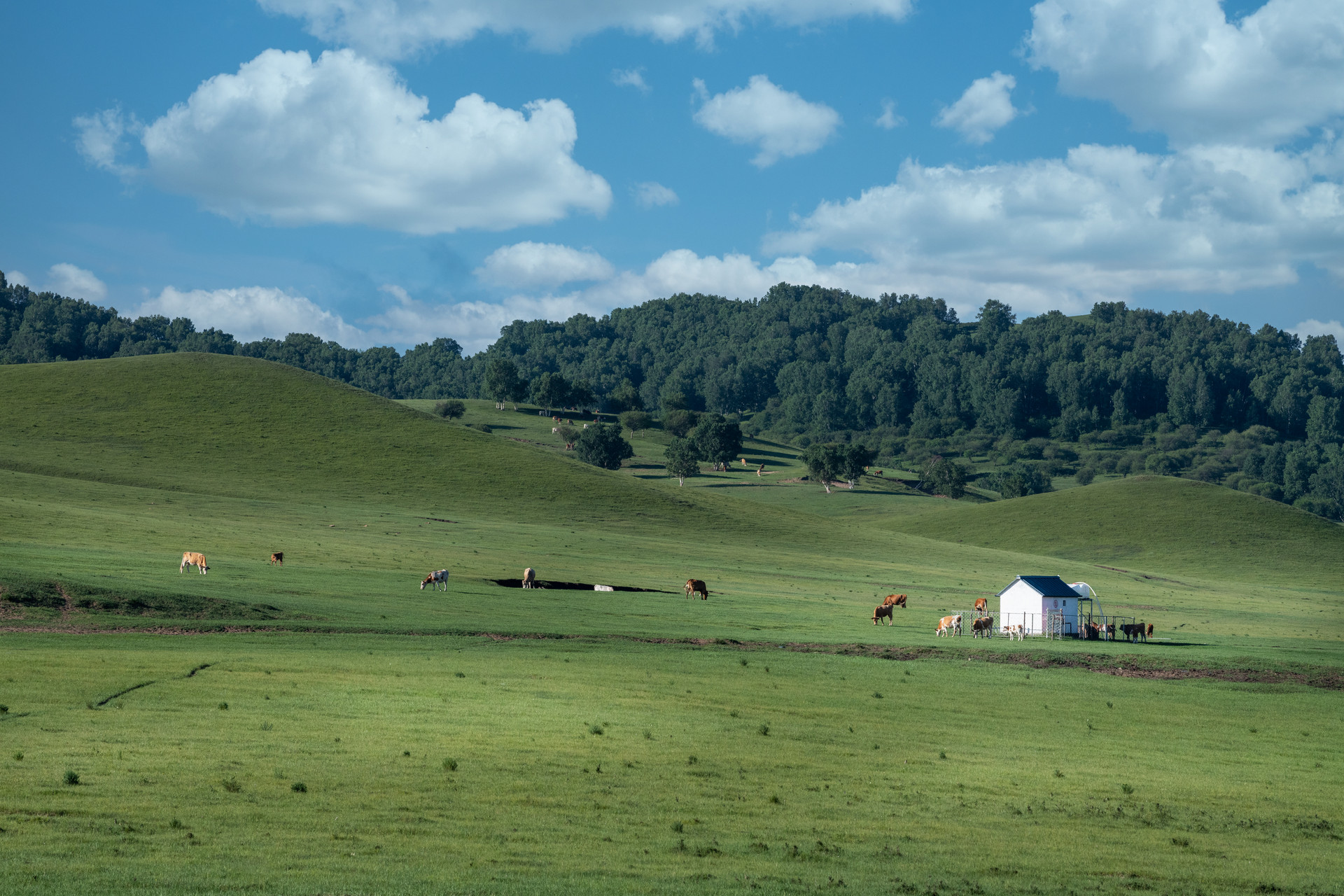 烏蘭布統風光封面圖