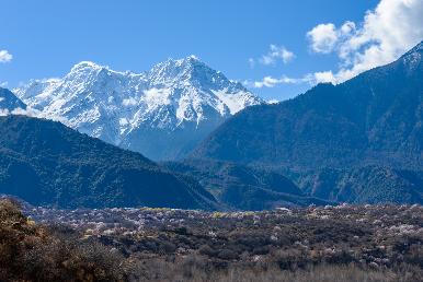【奢享希爾頓 四飛7日游】雅魯藏布大峽谷、色季拉山、魯朗林海、巴松錯、騎馬射箭、羊卓雍措、布達拉宮