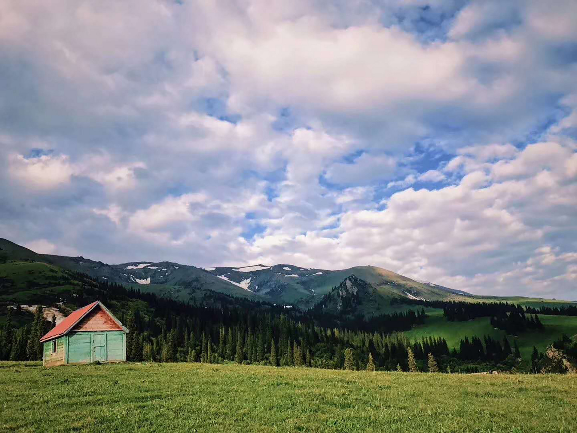鞏乃斯林場封面圖