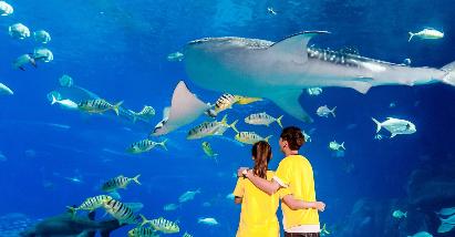 【天天出發】< 珠海長隆海洋王國一天直通車>