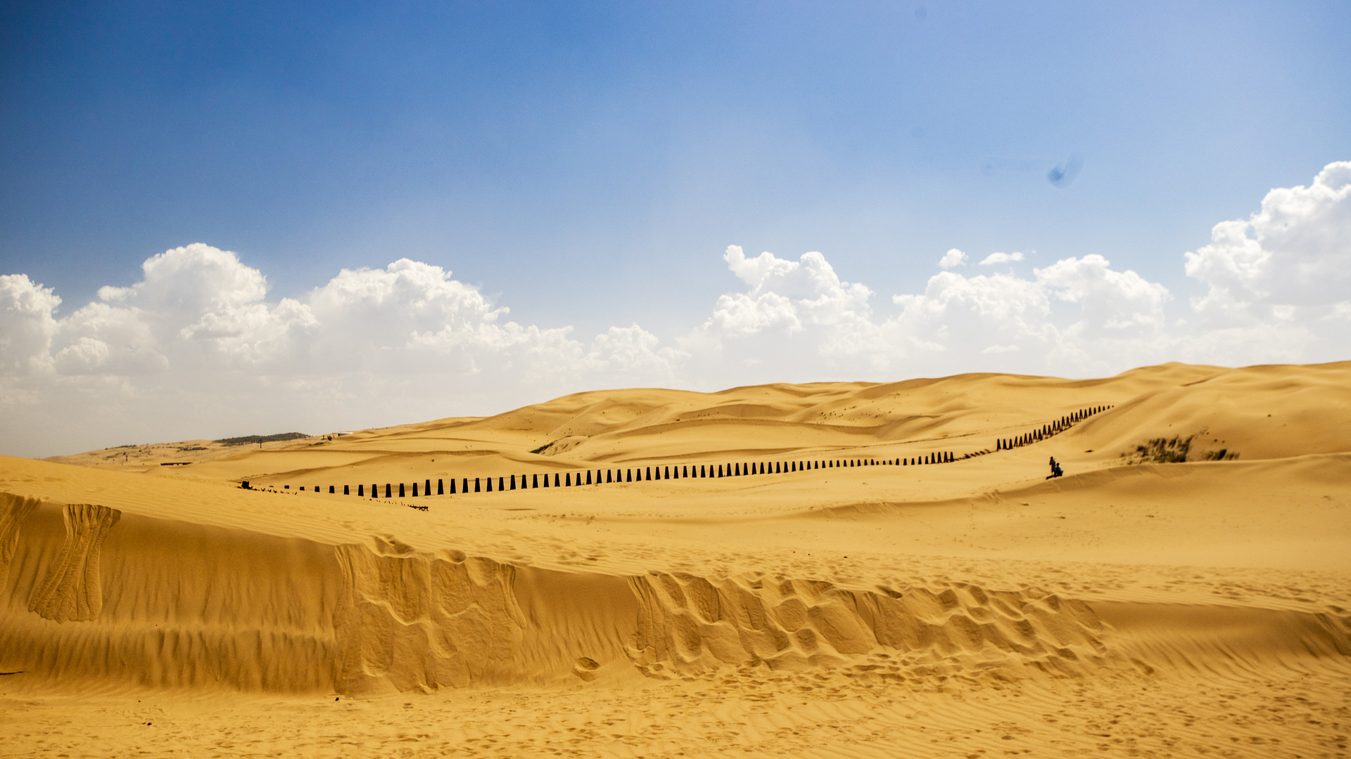 響沙灣旅游度假區封面圖