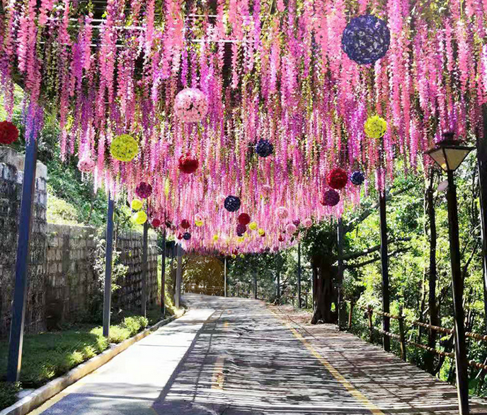 紫藤花長廊封面圖