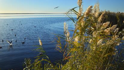 景點：居延海風(fēng)光