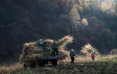 景點：秋收季節