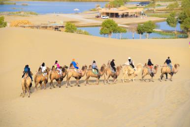 景點：羅布人村寨風光