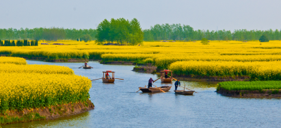 【S2線-純玩深坑】<泰州/上海/無錫/南京/烏鎮>雙飛6天游