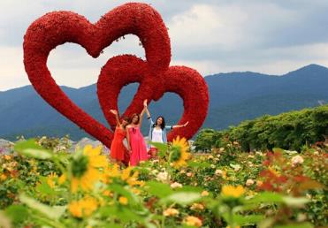 景點：心連心玫瑰花海