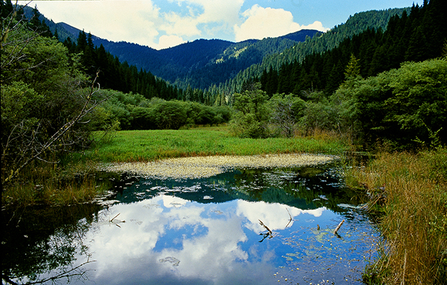 二道?；êD3封面圖