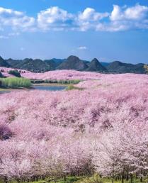 深圳北站相關旅游線路